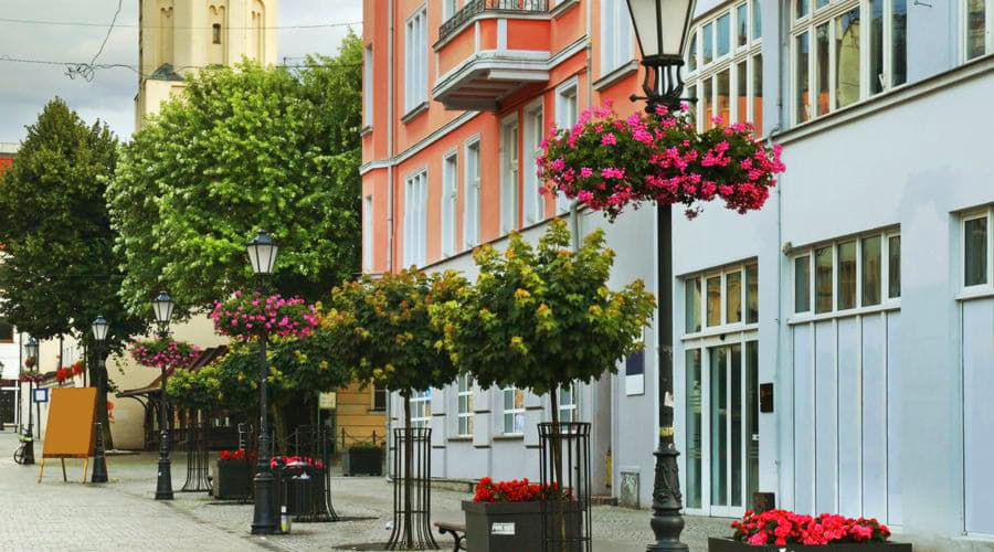 Nosso inventário inclui uma ampla variedade de veículos.